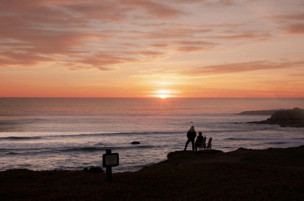 マンジャロへの国際線飛行機はどの航空会社が運航していますか？
