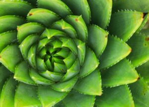 マンジャロを使った場合、どのくらいまで痩せることができるのか？