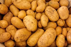 マンジャロの料金が高い理由とは？